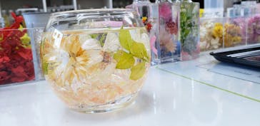 ずこうしつ〜sugamo〜に投稿された画像（2020/12/21）