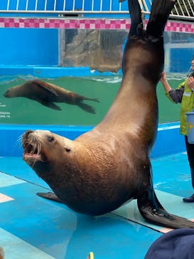 ゼロ距離水族館 伊勢シーパラダイスに投稿された画像（2020/12/21）