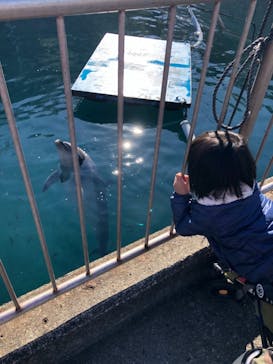 伊豆・三津シーパラダイスに投稿された画像（2020/12/21）