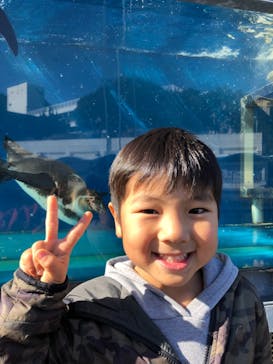 伊豆・三津シーパラダイスに投稿された画像（2020/12/21）