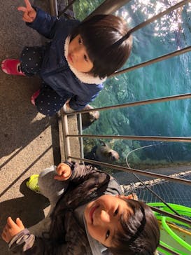 伊豆・三津シーパラダイスに投稿された画像（2020/12/21）