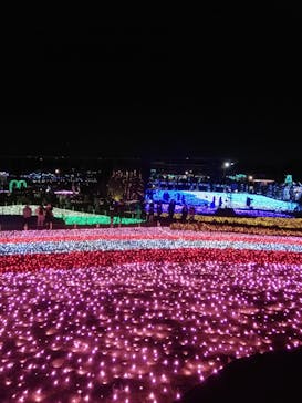 東武動物公園に投稿された画像（2020/12/21）