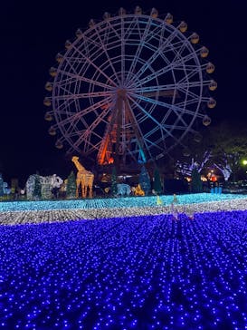 東武動物公園に投稿された画像（2020/12/21）