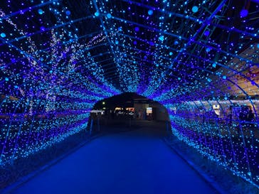 東武動物公園に投稿された画像（2020/12/21）