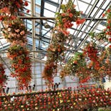 なばなの里に投稿された画像（2020/12/21）