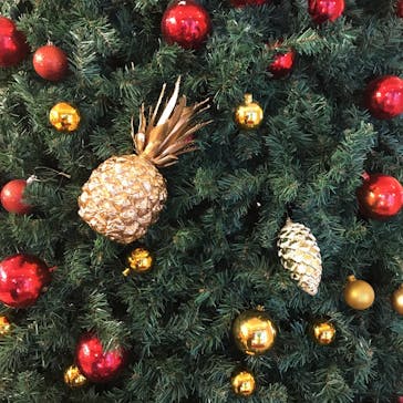 ナゴパイナップルパークに投稿された画像（2020/12/21）