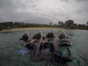 武藤潜水に投稿された画像（2020/12/21）