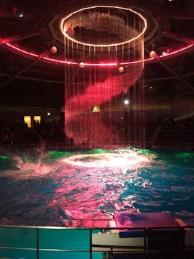 マクセル アクアパーク品川に投稿された画像（2020/12/21）