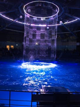 マクセル アクアパーク品川に投稿された画像（2020/12/21）