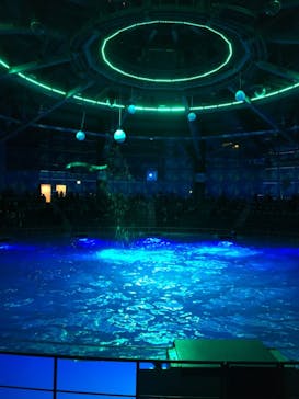 マクセル アクアパーク品川に投稿された画像（2020/12/21）