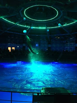 マクセル アクアパーク品川に投稿された画像（2020/12/21）