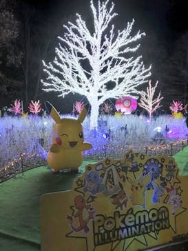 さがみ湖MORI MORIに投稿された画像（2020/12/21）