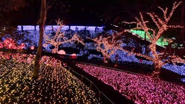 さがみ湖MORI MORIに投稿された画像（2020/12/21）