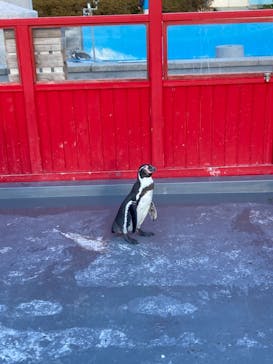 南知多ビーチランド＆南知多おもちゃ王国に投稿された画像（2020/12/21）