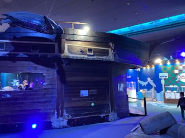 南知多ビーチランド＆南知多おもちゃ王国に投稿された画像（2020/12/21）