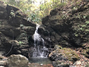 OUTISE（アウティーズ）に投稿された画像（2020/12/21）