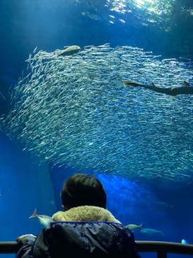 アクアワールド茨城県大洗水族館に投稿された画像（2020/12/21）
