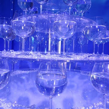 新江ノ島水族館に投稿された画像（2020/12/21）