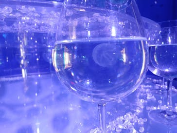 新江ノ島水族館に投稿された画像（2020/12/21）