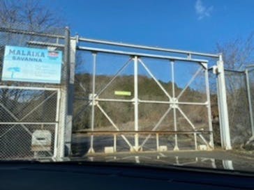 秋吉台自然動物公園 サファリランドに投稿された画像（2020/12/21）