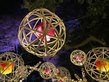 よみうりランド 遊園地に投稿された画像（2020/12/21）