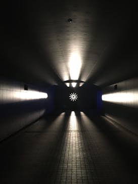 東京メガイルミに投稿された画像（2020/12/21）