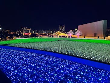 東京メガイルミに投稿された画像（2020/12/21）