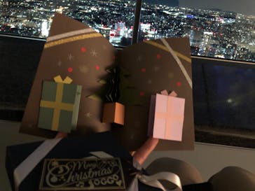 横浜ランドマークタワー 69階展望フロア スカイガーデンに投稿された画像（2020/12/21）