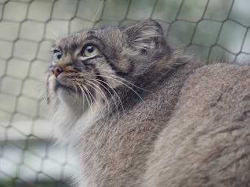 神戸どうぶつ王国に投稿された画像（2020/12/21）