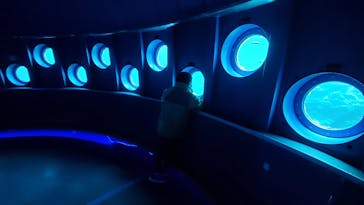 串本海中公園水族館に投稿された画像（2020/12/21）