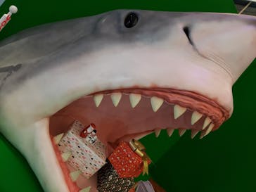 アクアワールド茨城県大洗水族館に投稿された画像（2020/12/21）