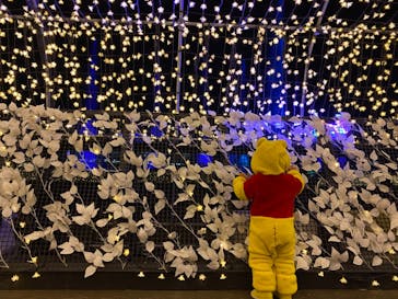 東京メガイルミに投稿された画像（2020/12/21）