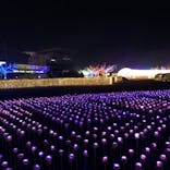 東京メガイルミに投稿された画像（2020/12/21）