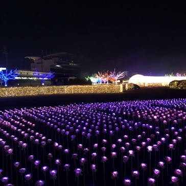 東京メガイルミに投稿された画像（2020/12/21）