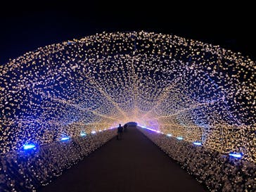 東京メガイルミに投稿された画像（2020/12/21）