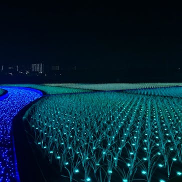 東京メガイルミに投稿された画像（2020/12/21）