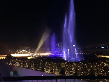 東京メガイルミに投稿された画像（2020/12/21）