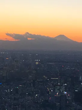 東京スカイツリーに投稿された画像（2020/12/21）