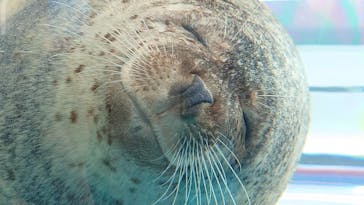 京都水族館に投稿された画像（2020/12/21）