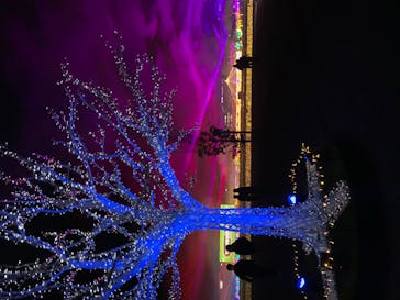 東京メガイルミに投稿された画像（2020/12/21）