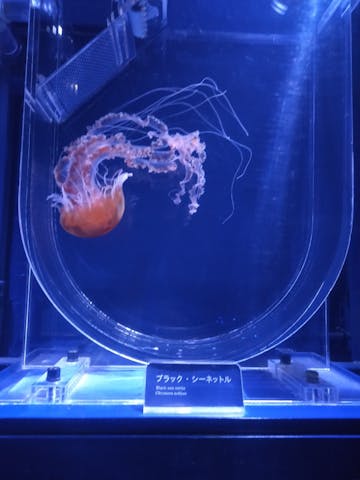 モンちゃん さまが 12 22 火に投稿した口コミ アソビュー モンちゃん さまが 12 22 火に投稿した口コミ アソビュー