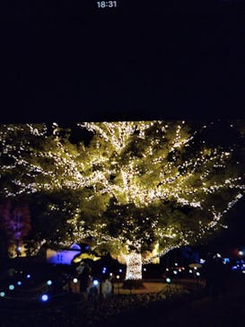 安城産業文化公園デンパークに投稿された画像（2020/12/21）