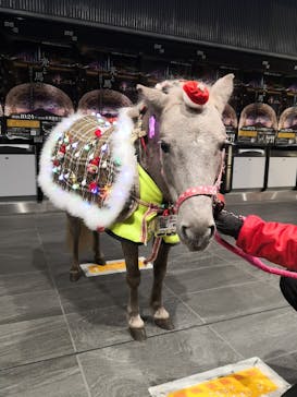 東京メガイルミに投稿された画像（2020/12/22）