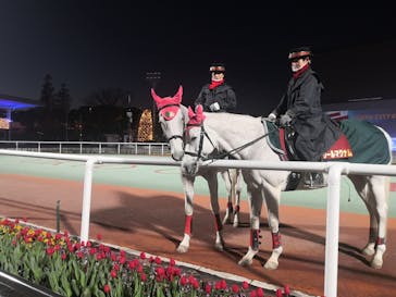 東京メガイルミに投稿された画像（2020/12/22）