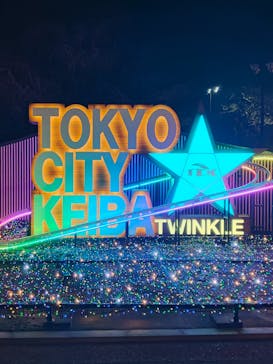 東京メガイルミに投稿された画像（2020/12/22）