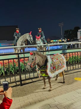 東京メガイルミに投稿された画像（2020/12/22）