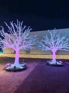 東京メガイルミに投稿された画像（2020/12/22）