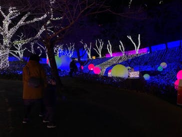 さがみ湖MORI MORIに投稿された画像（2020/12/22）