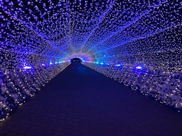 東京メガイルミに投稿された画像（2020/12/22）