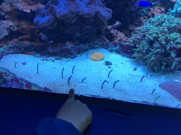 サンシャイン水族館に投稿された画像（2020/12/22）